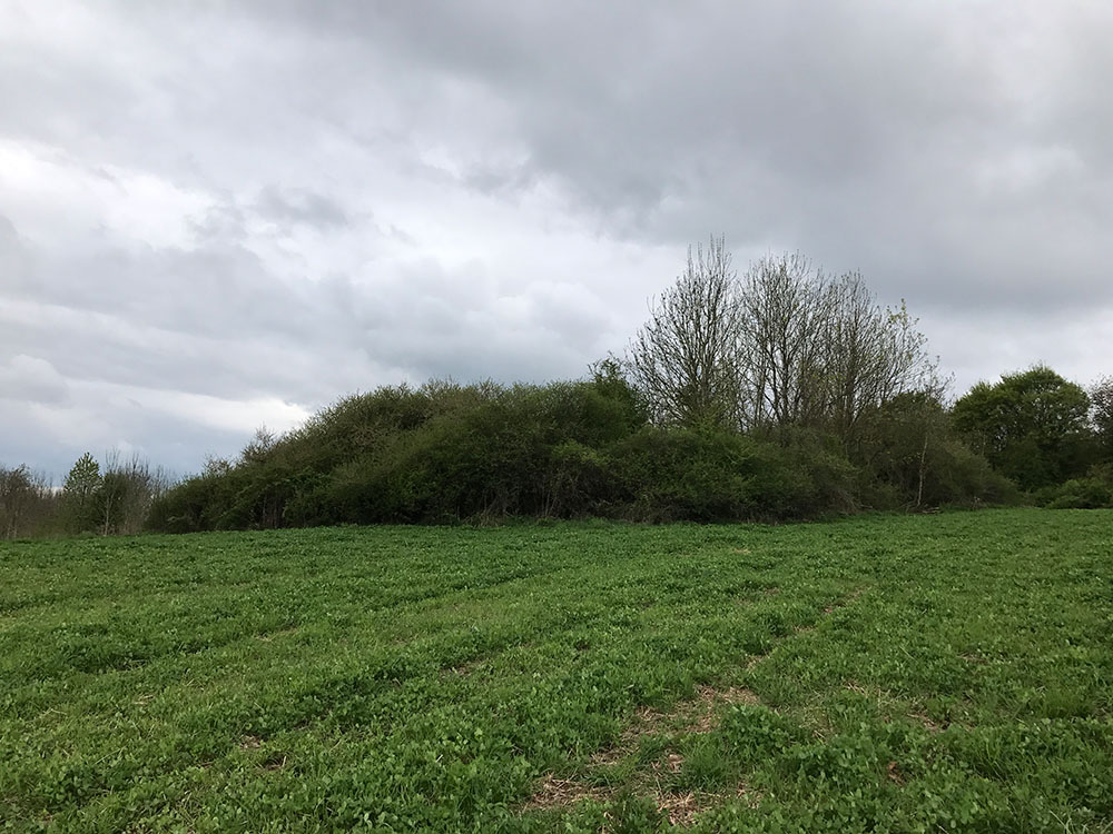 The main temple hill (32m diameter!) Site in Alsace-Lorraine:Moselle (57) France