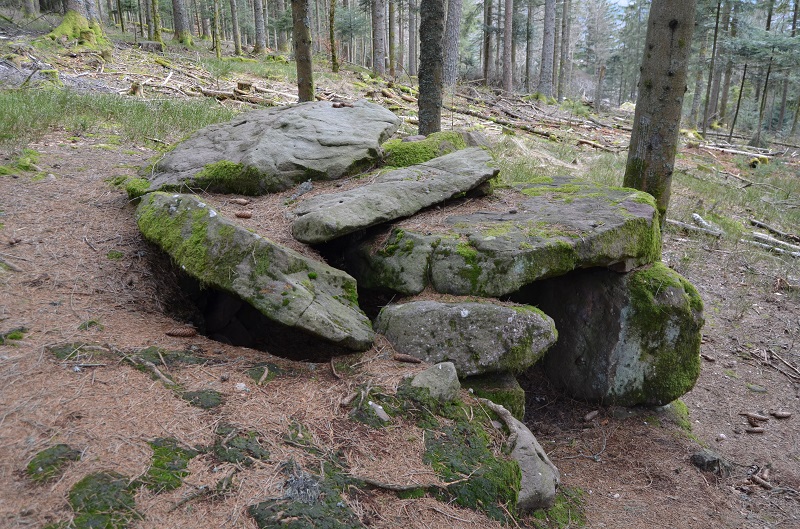 Dolmen de Purifaing