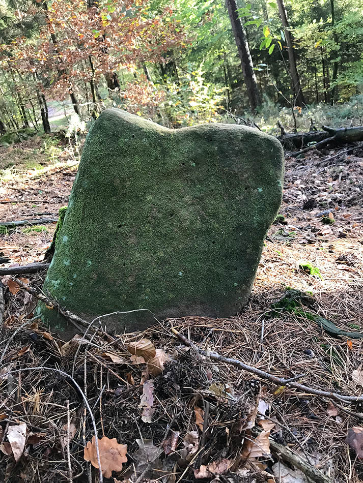 Site in Alsace-Lorraine:Bas-Rhin (67) France.
Menhir-like stone on the way to the Steinberg.