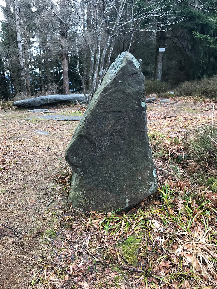 Jardin des Fées Menhir II