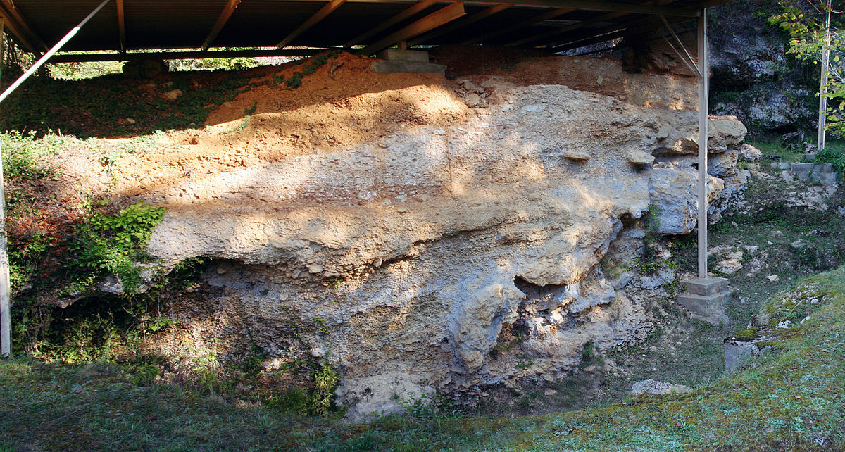 English: The rockshelter of La Micoque, Les Eyzies-de-Tayac, Dordogne, France. This site was occupied by Homo Erectus, between near 440,000 and 350,000 BPn and near 250,000 BP.
Français : L'abri de La Micoque, Les Eyzies-de-Tayac, Dordogne, Aquitaine, France. Ce site a été occupé par les Homos Erectus, entre il y a 440 000 et 350 000 ans, et vers 250 000 ans.

By Sémhur (Own work) [CC BY-S