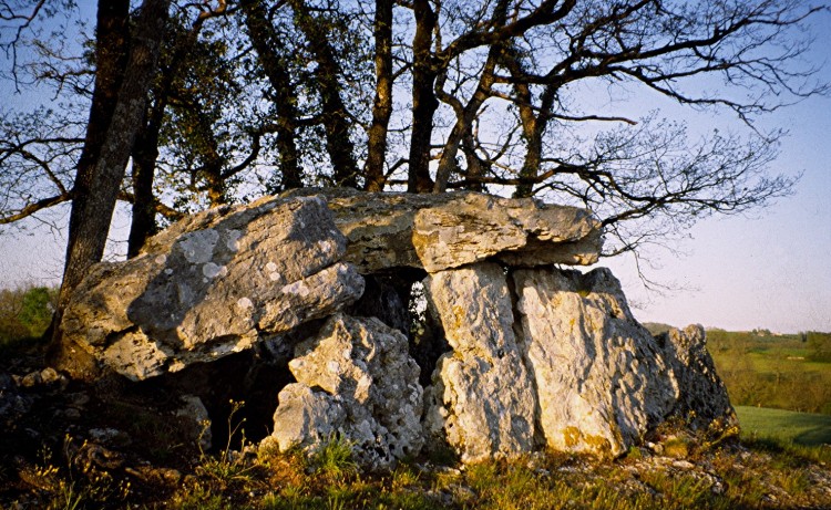 Similar in design to the Angevin dolmens with a portico entrance in the W (left). The rear of the monument has been destroyed and there are references to an upright having been wrongly added to one side.April 1994