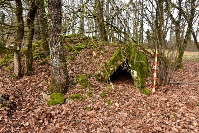 Clapas faisant croire à un dolmen , La 
Pelletenie à SORGES, Site in Aquitaine : Dordogne (24) France