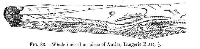 An unusual subject, a whale engraved on a antler, from 
