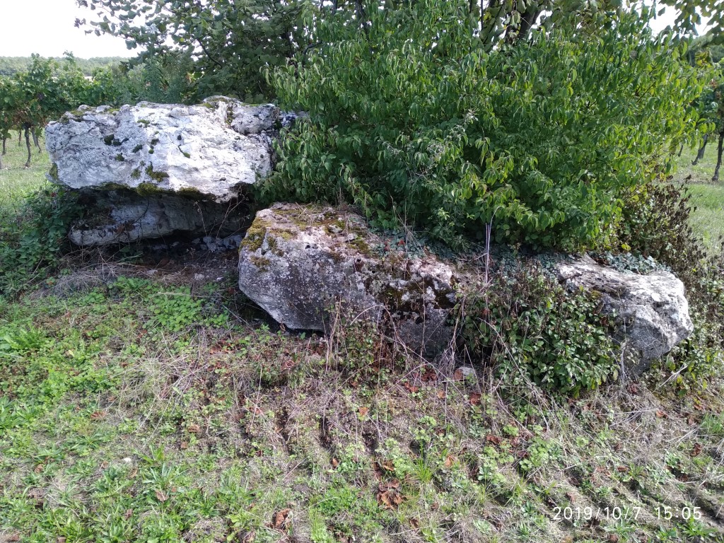 Site in Aquitaine:Dordogne (24) France View from the other side. The capstone is resting on just two stones with others piled around the sides hidden by the tree