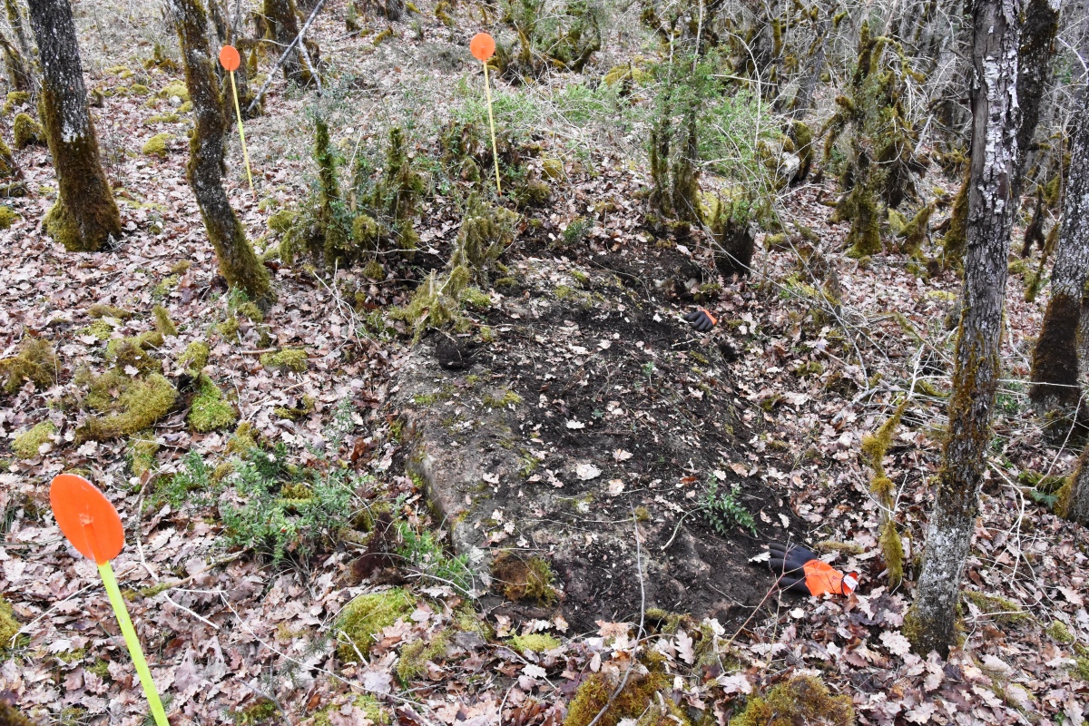 L'emplacement du monument (1m10 sur 3m80) avec une dalle potentielle du monument. Site in Aquitaine: Dordogne (24) France