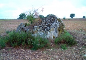 Le Bourdil Dolmen - PID:32950