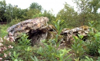 Maison du Loup dolmen 1 - PID:32926