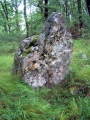 Peyregude menhir - PID:32930