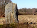 Menhir de Ger - PID:18820