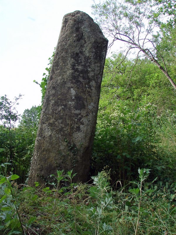 Site in Auvergne: Haute-Loire (43) France: Lou Donat menhir, 2.60 meters tall.
