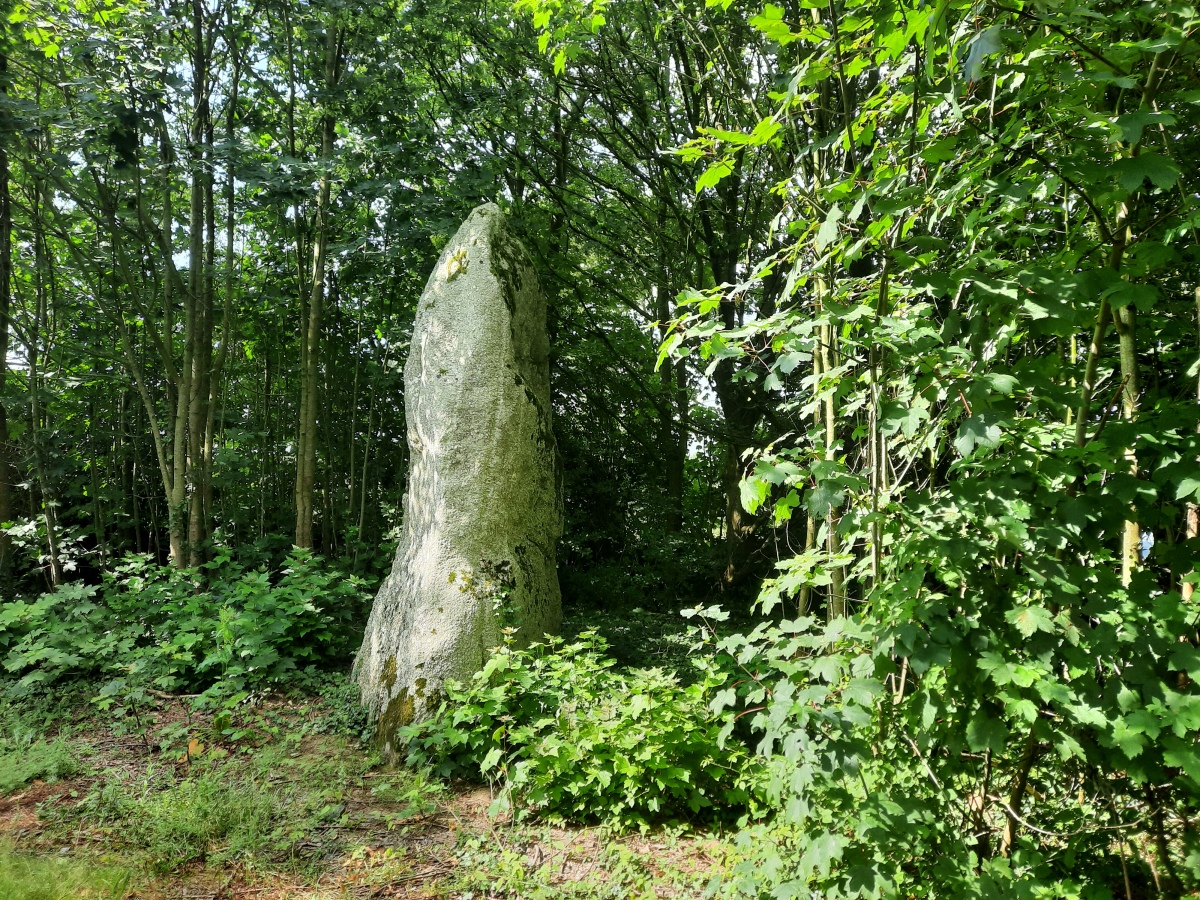 Another view at the menhir, June 19, 2023