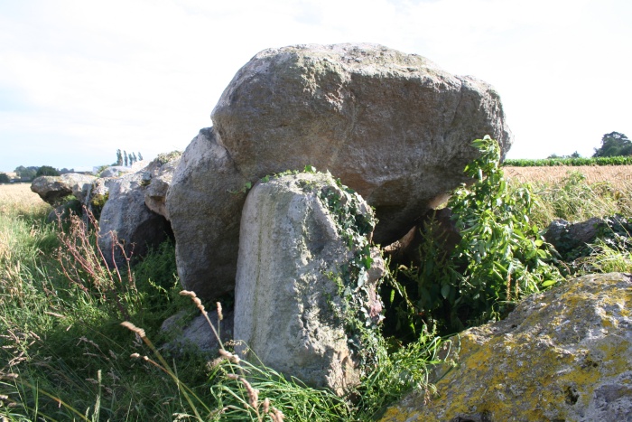 Rather damaged passage grave in the middle of a wheat field