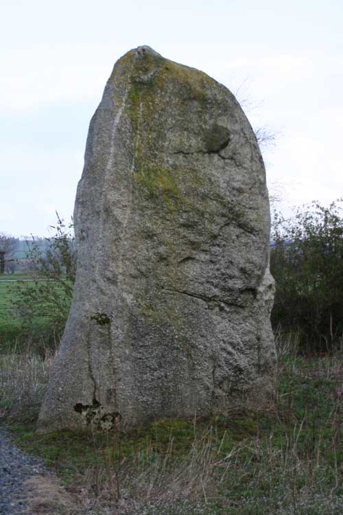 La Roche Longue (Plémy)
