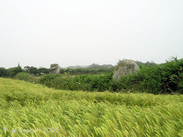 Two standing and one fallen stone make up this alignment of stones in a field wall to the northeast of Pleubian. 
The two standing stones are about 2.5 metres tall. 