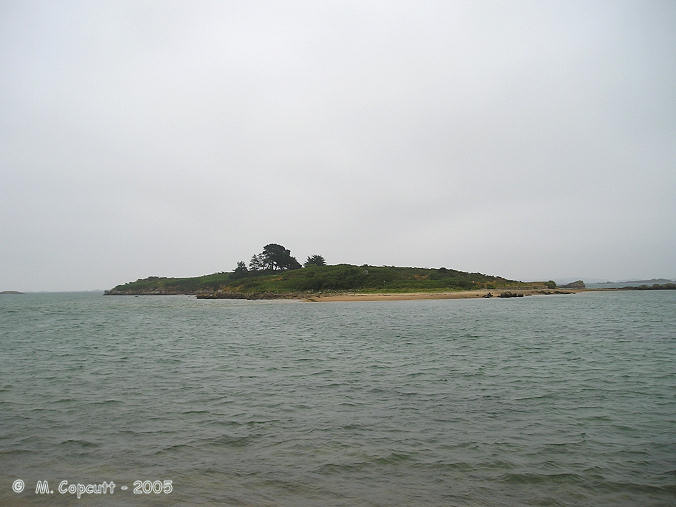 The little island of Ile Coalen is just offshore from the mainland at the northwest entry to the Trieux river estuary. The island can be reached by walking from the mainland when the tide is out. 

On the beach at the southwestern corner of the island are the remains of an allée couverte, which can be seen on the beach to the right of this picture.