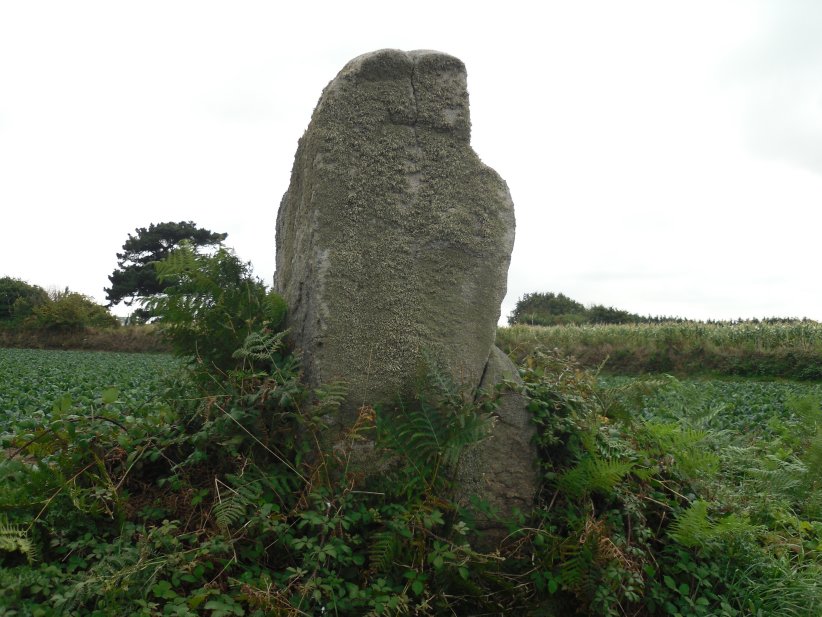 Site in Bretagne:Côtes-D'Armor (22) France
The first menhir