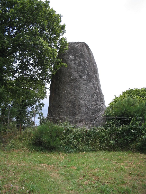 Almost 9 metres high but behind a fence, June 30, 2005