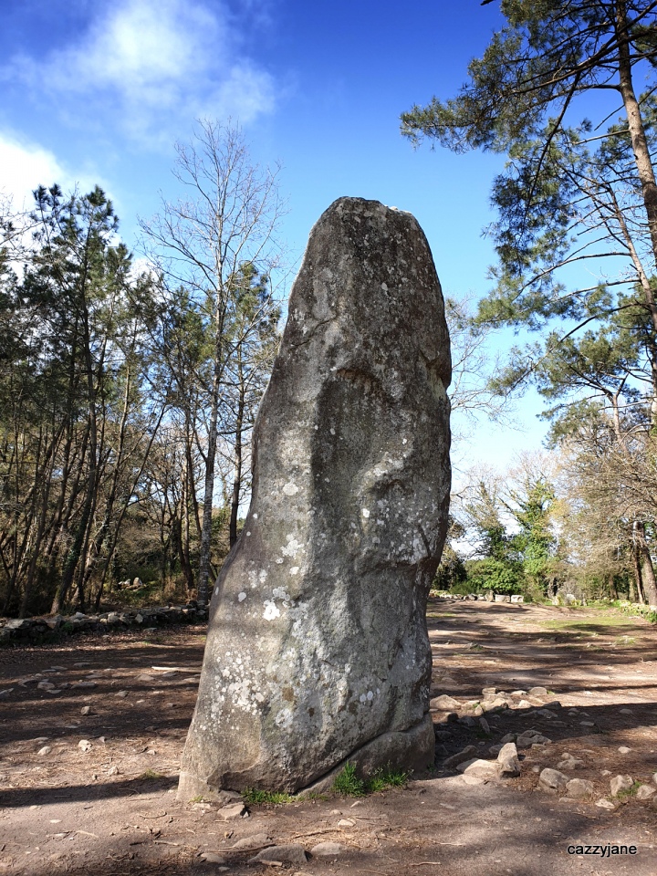 A beautiful 21ft menhir.  March 2020.