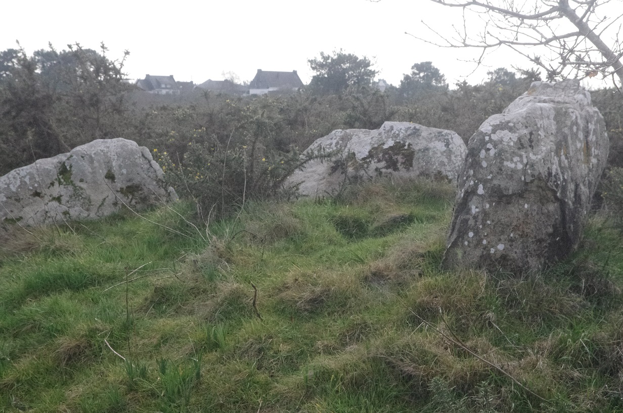 Site in Bretagne:Morbihan (56) France

This site is located down a lane that is safe to drive on in dry weather.
The site is in ruins and is very overgrown with heather and brambles.  Unlike some sites recently visited the remaining stones are easy to assess as part of a structure rather than a pile of rocks.