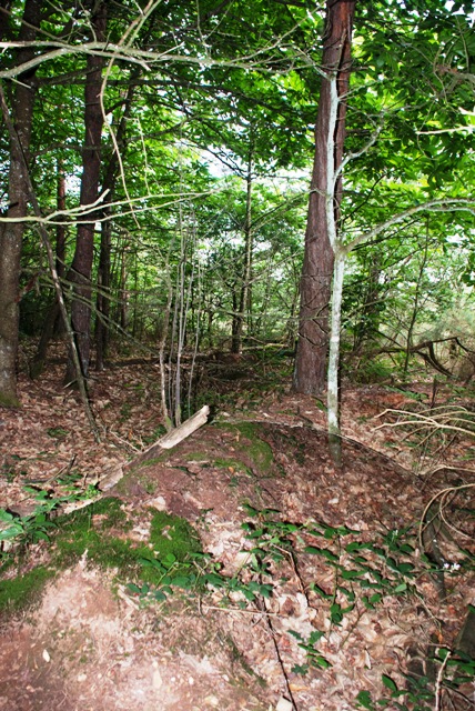 Allée couverte de la Grée de Trévelot