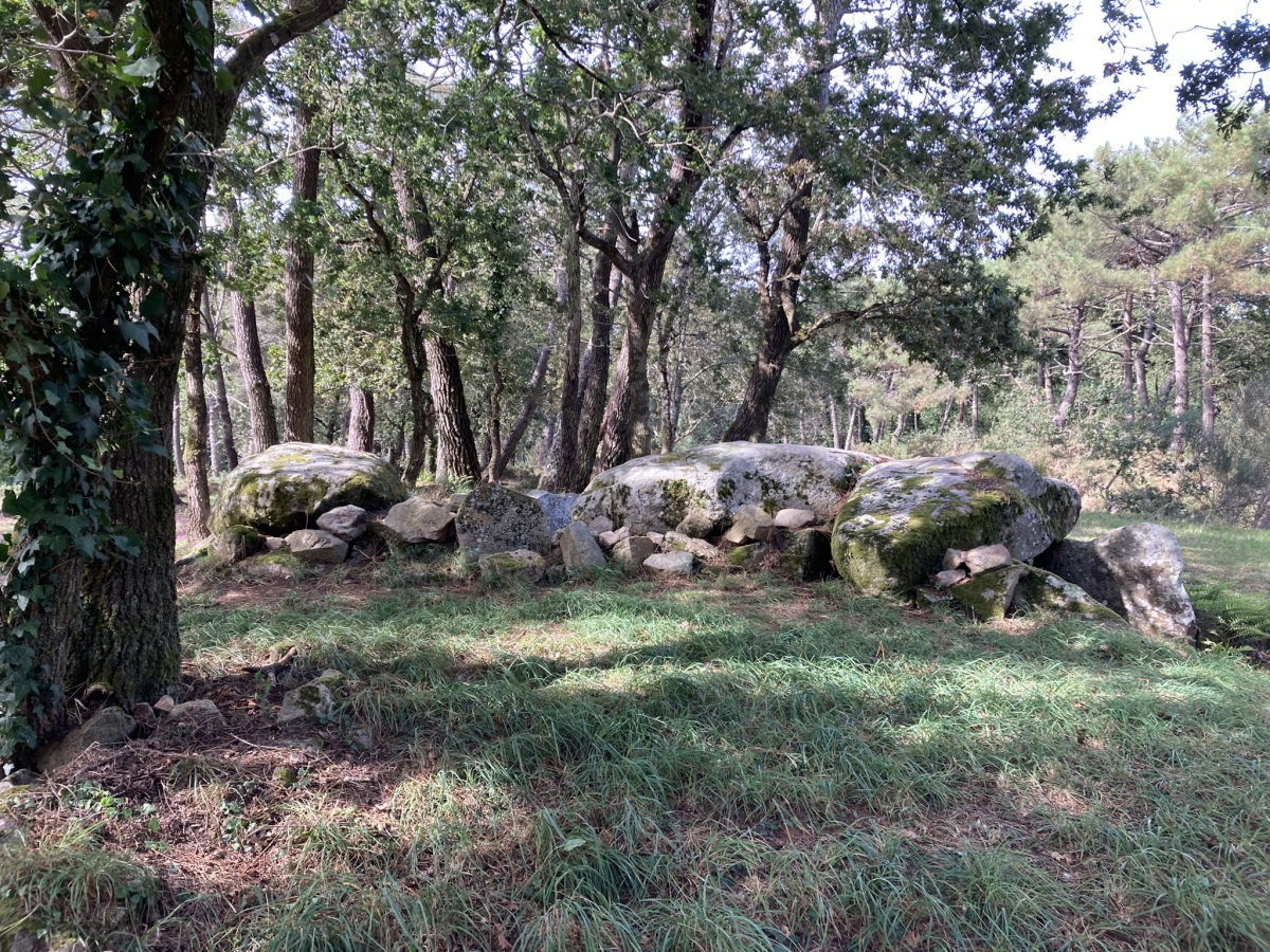 Dolmen de Kermarquer viewed from SSW.