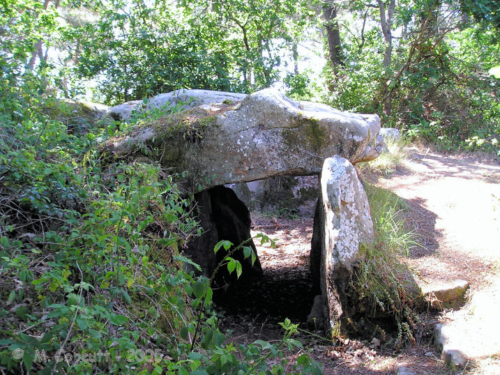 This dolmen is much easier to find than its neighbour Mané Bras, but still involves 100 metres of fighting a way through gorse and bramble filled woodland. 
