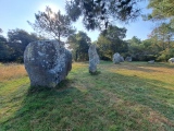 Crucuno Cromlech - PID:282971