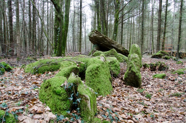 Roh-Prioldi allée couverte