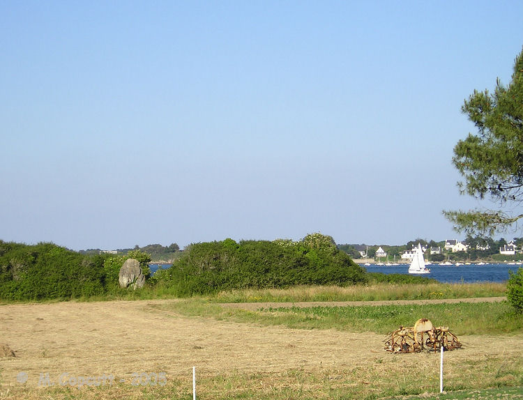 Splendidly positioned beside the sea near to the Pointe de Kerpenhir, this 3.5 metres tall menhir can be seen in the far hedge of a field, overlooking the entrance to the gulf of Morbihan, with all its boats racing in and out. 
What a superb position this would be if the hedge were not there !