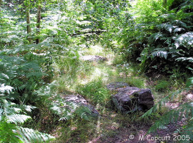 Not far from the main tomb is are several other pieces of rock, which may be another ancient grave. 