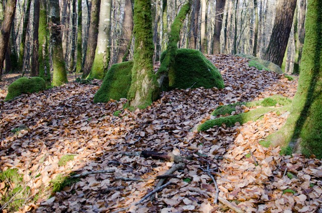 L'Etoile allée couverte