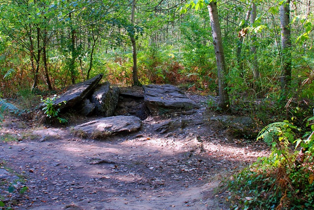 The tomb in the chestnut forest.