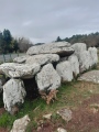 Kermario Dolmen - PID:268164