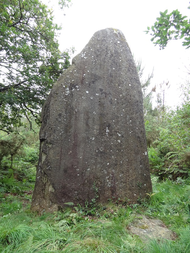 Looking at the back of the monilith, June 25, 2012