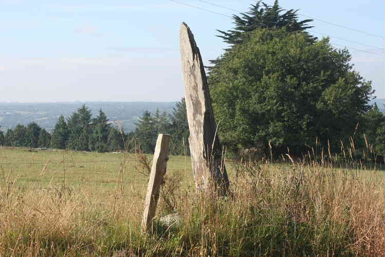 This view gives an indication of how slender the stone is – compare it with the fence post.  The fence post also gives some indication of its size.