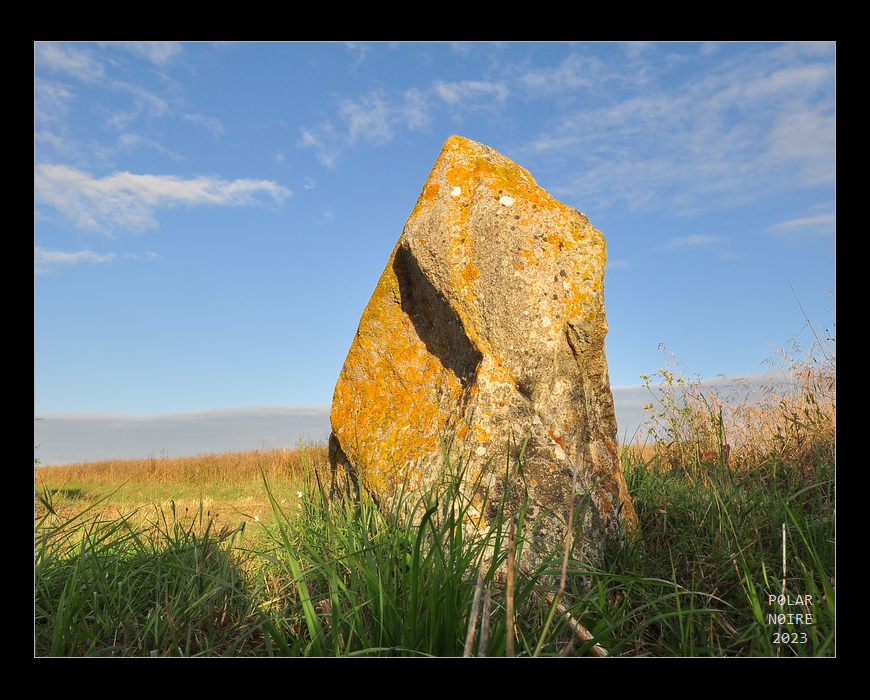 An interestingly shaped menhir at the eastern part of the alignement. July 2023