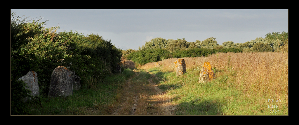 Overview showing eastern parts of the alignment. The stones of the northern row are becoming partly overgrown a bit. Overall a great ambience. July 2023