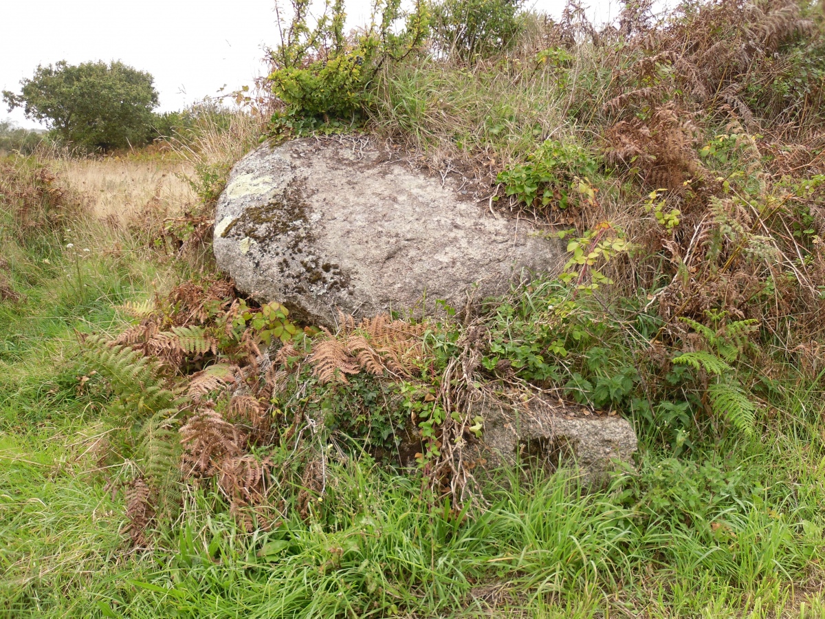 Site in Bretagne:Finistère (29) France
Dolmen de lanidult just outside the ground of the  chapel