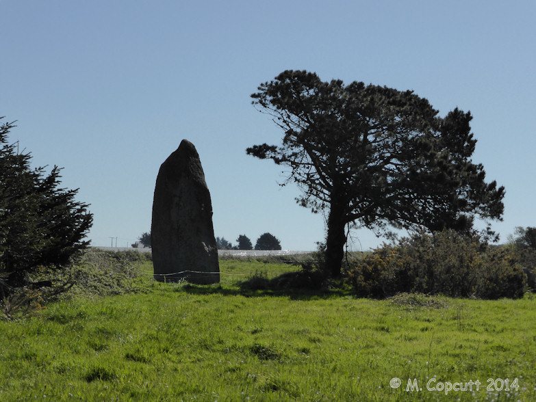 Absolutely splendid menhir which is easily found near to a corner in a little open farmland lane, just behind a little scrubland area. 
