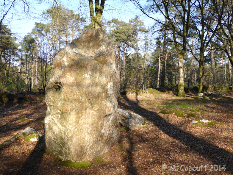 In the woodlands to the northeast of Kerprigent Manoir, can be seen a quartz standing stone, just short of three metres tall, but probably once much larger, as it looked as if the many surrounding stones were probably broken from its top. 
