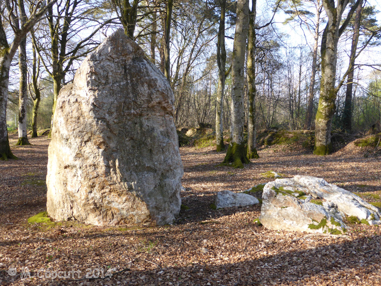 In the woodlands to the northeast of Kerprigent Manoir, can be seen a quartz standing stone, just short of three metres tall, but probably once much larger, as it looked as if the many surrounding stones were probably broken from its top. 