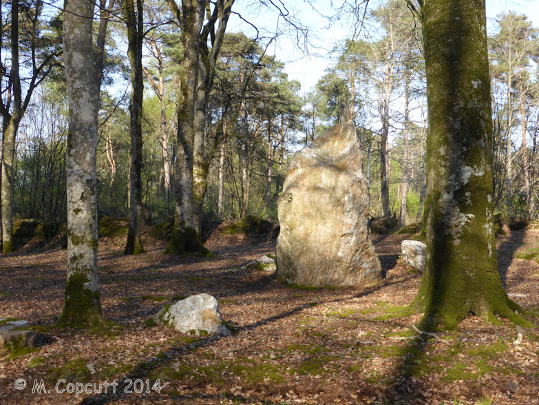 In the woodlands to the northeast of Kerprigent Manoir, can be seen a quartz standing stone, just short of three metres tall. Wander into this delightful ancient woodland, and it is soon seen that the quartz menhir is not alone, being surrounded by a large number of other quartz stones. 