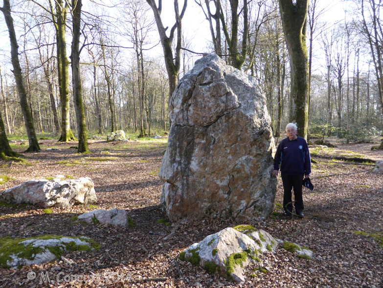 In the woodlands to the northeast of Kerprigent Manoir, can be seen a quartz standing stone, just short of three metres tall. Wander into this delightful ancient woodland, and it is soon seen that the quartz menhir is not alone, being surrounded by a large number of other quartz stones. 

My Dad included for scale. 