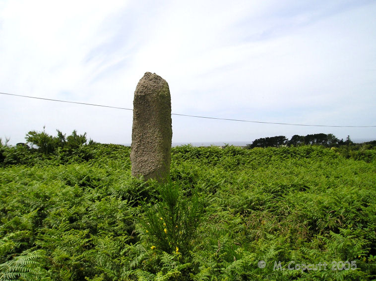 The standing menhirs are about 4 and 5 metres tall, the fallen ones lost in the undergrowth. 