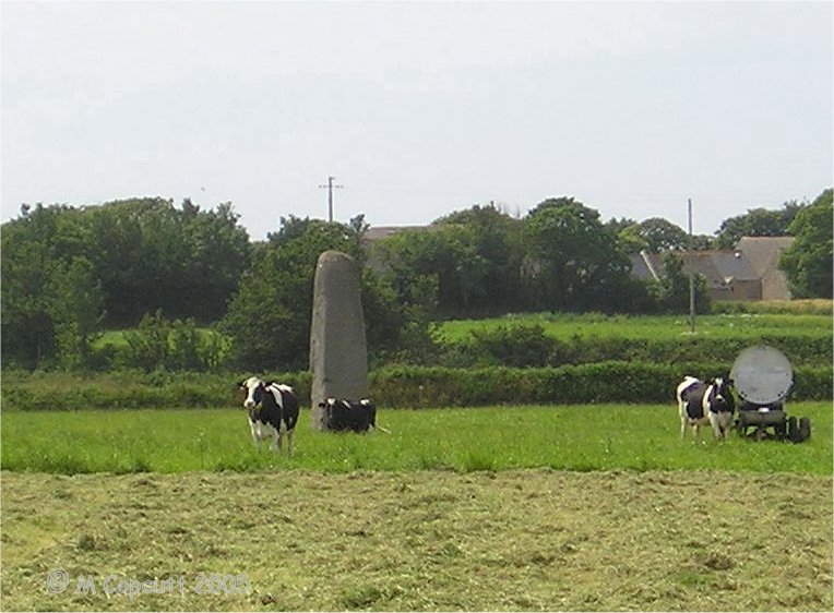 The Pierre de St Gonvarc'h, or Mez menhir, can be seen across a couple of fields, and is another of the monster menhirs of the Léon region (Kings of Léon?). 
Seen here from road along the 