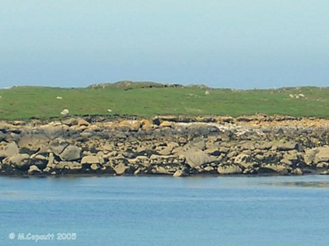 This island, which is difficult to get to, has on it three massive cairns with their multitude of chambers and dolmens within them. 

This is the best picture I could get on my little camera, taken on full zoom from Ile Tariec, which can be walked to at very low tide. 
