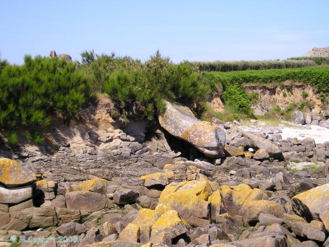Laying fallen at the edge of the sea is the almost forgotten St Eden grand menhir. 
