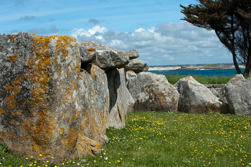 Run-Amor allée couverte.
Spring in Brittany at it's best.
