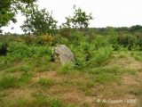 Kerfuens dolmens - PID:26225